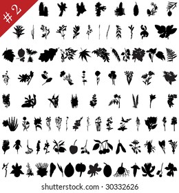 Vector collection of different plants and flowers silhouettes #2