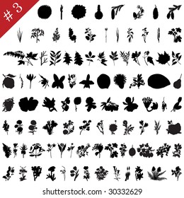 Vector collection of different plants and flowers silhouettes #3