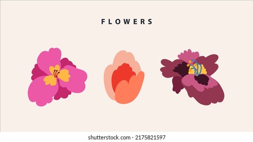 Colección vectorial de diferentes plantas. Ilustración de flores. Botánico. Flores rosas y rojas. Decoración para cartas, invitaciones.