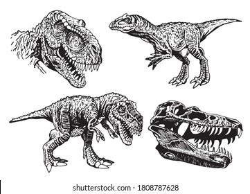 Vector collection of dinosaurs isolated on white, graphical elements,paleontology