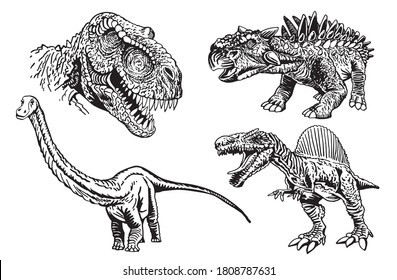 Vector collection of dinosaurs isolated on white, graphical elements,paleontology