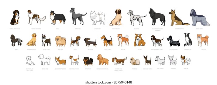 Vector collection of dogs of different breeds.