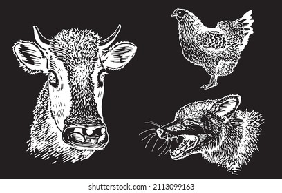 vector collection of domestic animals isolated on black background, rural wildlife elements for design,coloring and printing