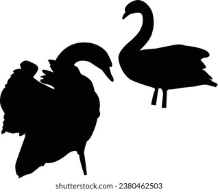 vector collection of duck silhouette