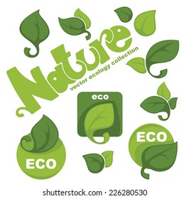 vector collection of ecology green leaf frames, stickers, forms and slogans