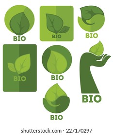vector collection of ecology green leaf frames, stickers, forms and icons