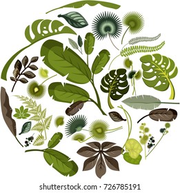 Vector collection of exotic plants and tropical leaves lined in round form on a black background