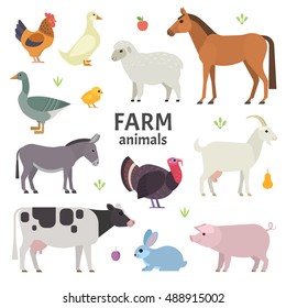 Vector collection of farm animals and birds in trendy flat style, including horse, cow, donkey, sheep, goat, pig, rabbit, duck, goose, turkey and chicken, isolated on white.