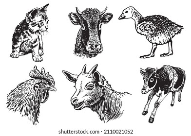 Recogida de vectores de animales de granja aislados de fondo blanco, elementos de vida silvestre rural para el diseño, coloreado e impresión