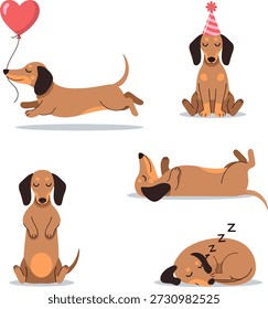 Una colección de Vector con un perro salchicha marrón en varias actividades: dormir, sentarse, jugar y usar un sombrero de cumpleaños. Ilustrador plano aislado