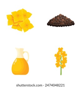 Vector collection featuring canola flowers, seeds, oil, and rapeseed stalk
