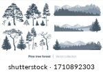 Vector collection with fir trees and coniferous forest isolated on white background
