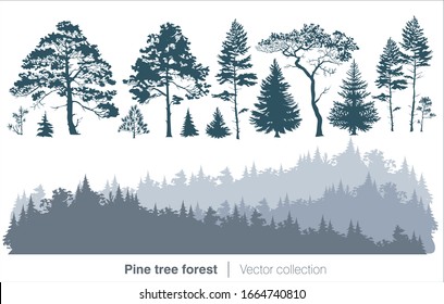 Vector collection with fir trees and coniferous forest isolated on white background
