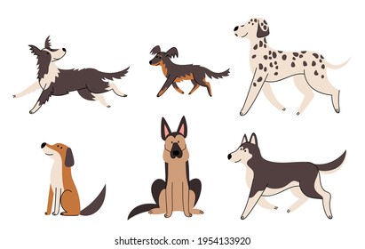 Vector collection of flat dog running, sitting and walking.