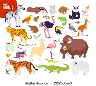 Vector collection of flat hand drawn rare wild animals isolated on white background: zebra, tiger, flamingo, echidna, yak, panda. For infographics, children alphabet, book illustration, card, banner.