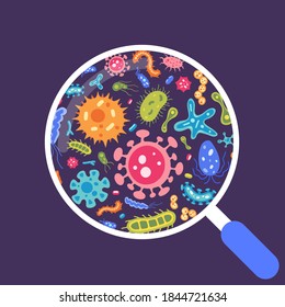 Vector collection of flat virus and microbe illustrations in magnifying glass. Bacteria icon set. Colourful cartoon amoebas and bacillus. Beautiful collection of microorganisms. Petri dish concept.