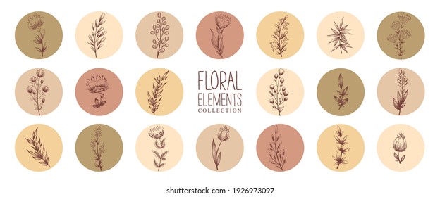 Vektorgrafik mit rundem Blumensymbol in natürlichen Farben einzeln auf weißem Hintergrund. Set von verschiedenen Vektorgrafik-Titelbildern für Social-Media-Geschichten. 