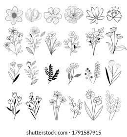 Vector collection flower and leaves design, Card design, Greeting Card, Poster, wedding card, Invitation card.