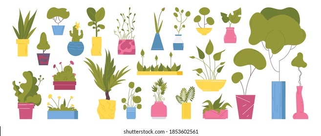 Vector collection with flower pots with greenery and home plants isolated on white
