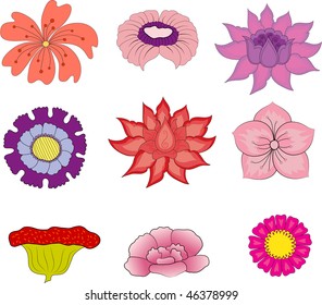 Vector collection of flowers for design vector illustration.