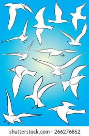 Vector Collection of flying Seagulls in various poses
