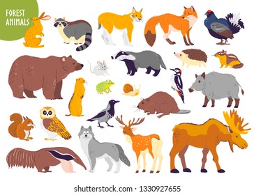 Vector collection of forest animals and birds: bear, fox, hare, owl isolated on white background. Flat hand drawn style. Good for children book illustration, alphabet, woodland banner, zoo emblem etc.