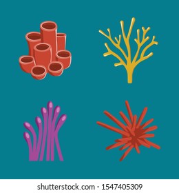 vector collection - four underwater corals