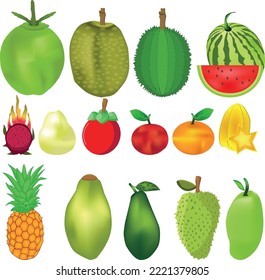 vector collection of fresh and healthy fruit