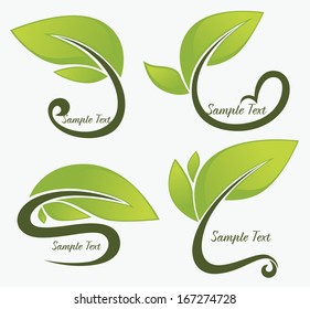 vector collection of fresh leaves frames