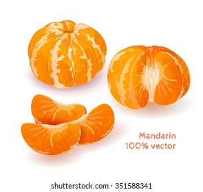 Vector collection of fresh peeled tangerines.