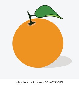 Vector collection of fresh ripe oranges