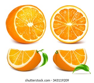 Vector collection of fresh ripe oranges with leaves.