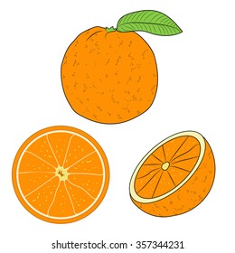 Vector collection of fresh ripe oranges  with leaves.Orange, orange slice vector illustration
