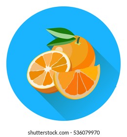Vector collection of fresh ripe oranges and tangerines with leaves. Flat style with long shadow.