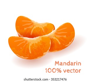 Vector collection of fresh slices tangerines.