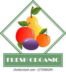 Vektorgrafik von frischen, stylisierten Früchten und Beeren. Für Geschäfte, Bauernhöfe, Verpackungen und Etiketten.