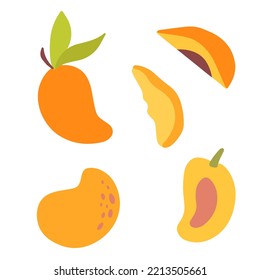 Vector collection of fresh yellow and orange mango whole and slice poster. Eco fruit with green leaves poster. Healthy cute organic food element for package or banner art. 