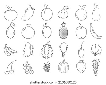 Vector collection of fruit and berries line icon on white background. Simple icon set. 24 signs of apple, orange, cherry, grape, tropical fruits. Vector illustration in black line style. 