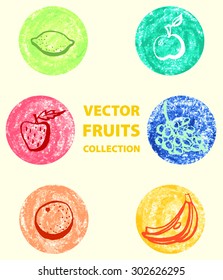 Vector collection of fruits