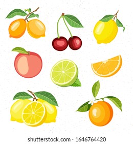  Vector collection of fruits for any summer drinks. Orange, cherry, lime, lemon, peach fruits with leaves  isolated on white background. 