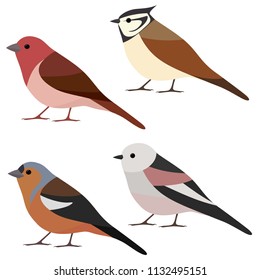 Vector collection of garden bird. Long-tailed tit, crested tit, chaffinch, rosefinch isolated on white background. Colorful bird set in flat style 