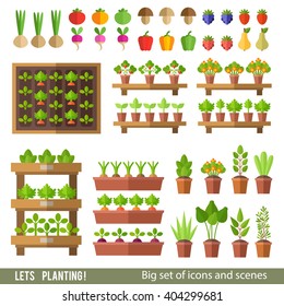 Vector collection of garden and orchard. Plants in pots and beds, vegetables and fruits. Gardening, spring seedlings, cultivation of vegetables.