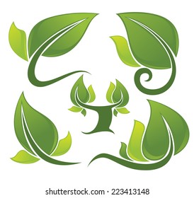 vector collection of glossy green spring leaf frames and symbols