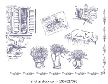 Vector collection of graphic lavender flowers sketch. Vector set of hand drawn lavender illustration in lilac color. Vintage collection of lavender flowers sketch isolated on white. Provence, France.