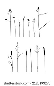 vector collection of grass blade silhouettes isolated on white background