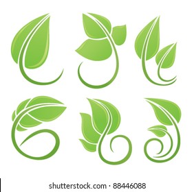 vector collection of green leaf's images