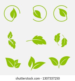 Vector collection with green leaves in flat style for icons and graphic design