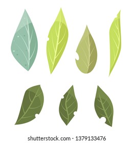 Vector collection with green leaves in flat style for icons and graphic design