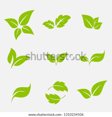 Vector collection with green leaves in flat style for icons and graphic design