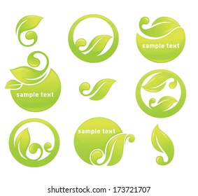 vector collection of green leaves images, frames, labels and stickers